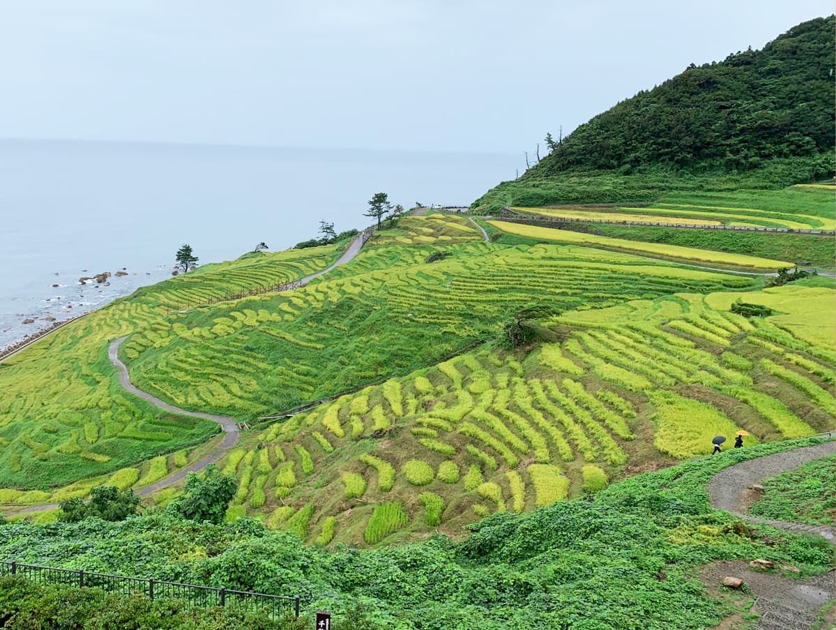 地域活性事業イメージ